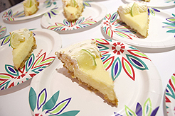 CATALYST TRAVEL WITH SANDALS